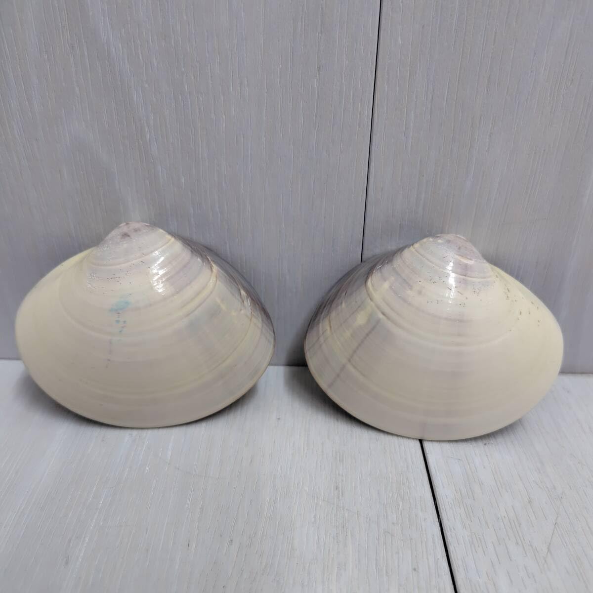 貝合わせ 池坊専好立花図 金彩蛤香合｜貝合わせ 蛤 香合 龍